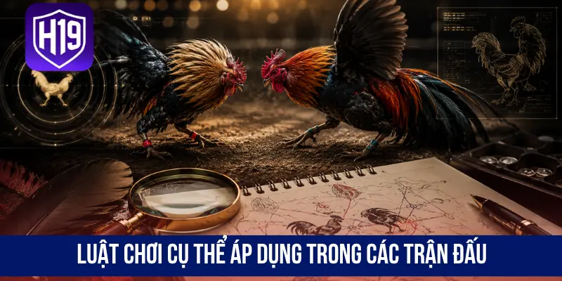Luật chơi cụ thể áp dụng trong các trận đấu